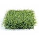 Plaque d’herbe grasse artificielle 25,5x25,5cm