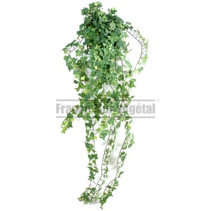 http://www.materiel-mur-vegetal.fr/1020-2987-thickbox/lierre-artificiel-130cm-801-feuilles-sur-pique.jpg
