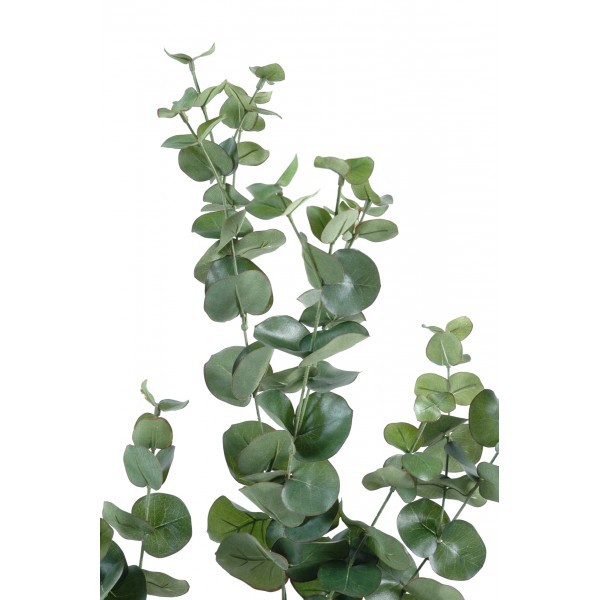 ZCMTD Branche d'arbre D'Eucalyptus Feuilles Rondes Feuille d'argent  Artificielle Décoration de Plantes Rétro Fausse Fleur Faux Feuillage Vert