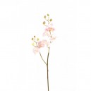 Phalaenopsis medium artificielle 70cm fleur sur tige