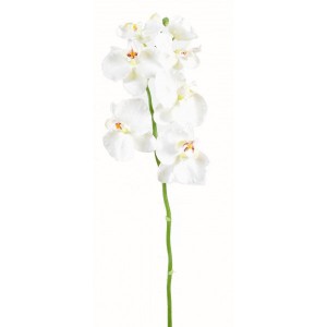 http://www.materiel-mur-vegetal.fr/1066-2028-thickbox/phalaenopsis-medium-artificielle-85cm-fleur-sur-tige.jpg