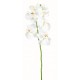 Phalaenopsis medium artificielle 85cm fleur sur tige