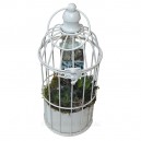 Cage végétale avec plantes grasses à suspendre