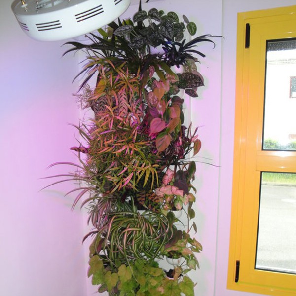 Spot LEDs 50W Slim à fixer pour mur végétal lampe éclairage horticole plantes 