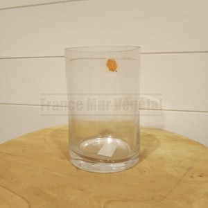 http://www.materiel-mur-vegetal.fr/1137-4167-thickbox/tube-en-verre-o10cm-hauteur-15cm.jpg