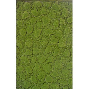 http://www.materiel-mur-vegetal.fr/1262-2571-thickbox/plaque-de-mousse-artificielle-100x200cm.jpg