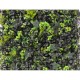 Plaque mur végétal artificiel lierre & buis 50x50cm