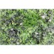 Plaque mur végétal artificiel vert blanc 100x100cm