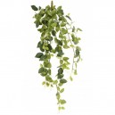 Fittonia artificiel 80cm 231 petites feuilles sur pique