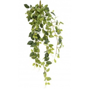 http://www.materiel-mur-vegetal.fr/1270-2588-thickbox/fittonia-artificiel-80cm-231-petites-feuilles-sur-pique.jpg