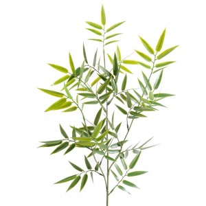 http://www.materiel-mur-vegetal.fr/1288-2619-thickbox/bambou-japonais-artificiel-70cm-sur-branche.jpg