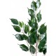 Ficus exotica artificiel 76cm 55 feuilles sur branche