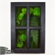 Tableau végétal stabilisé Fenêtre Végétale 60x40cm Noir