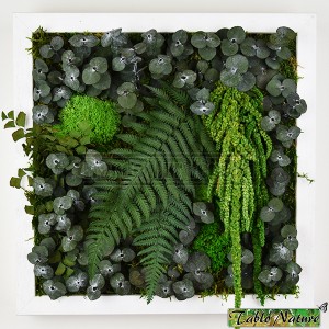 http://www.materiel-mur-vegetal.fr/1346-2795-thickbox/tableau-vegetal-stabilise-tablonature-30x30cm-green-eucalyptus.jpg
