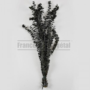 http://www.materiel-mur-vegetal.fr/1423-3123-thickbox/eucalyptus-baby-feuillage-stabilise-vert.jpg