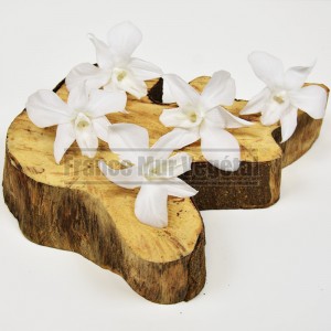 http://www.materiel-mur-vegetal.fr/1432-3437-thickbox/5-fleurs-stabilisees-orchidee-dendrobium-blanc.jpg