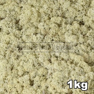http://www.materiel-mur-vegetal.fr/1437-3199-thickbox/lichen-scandinave-stabilise-naturel-1kg.jpg