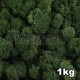 Lichen Scandinave stabilisé Vert Foncé 1kg