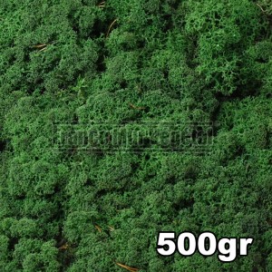 http://www.materiel-mur-vegetal.fr/1444-3213-thickbox/lichen-scandinave-stabilise-vert-moyen-500gr.jpg