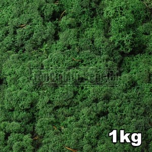 http://www.materiel-mur-vegetal.fr/1445-3214-thickbox/lichen-scandinave-stabilise-vert-moyen-1kg.jpg
