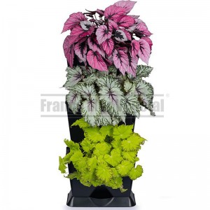 http://www.materiel-mur-vegetal.fr/1505-3565-thickbox/kit-mur-vegetal-minigarden-one-noir-246x19x57cm.jpg