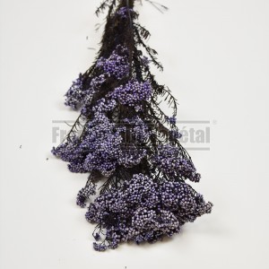 http://www.materiel-mur-vegetal.fr/1544-3682-thickbox/fleurs-stabilisees-de-riz-violet.jpg