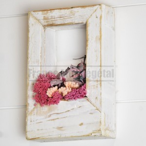 http://www.materiel-mur-vegetal.fr/1565-3739-thickbox/tableau-vegetal-stabilise-15x10cm-bois-blanc-vieilli-avec-fleurs.jpg