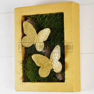http://www.materiel-mur-vegetal.fr/1568-3749-thickbox/tableau-vegetal-stabilise-20x15cm-2-papillons-dores-sur-branche.jpg