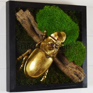 http://www.materiel-mur-vegetal.fr/1572-3765-thickbox/tableau-vegetal-stabilise-noir-30x30cm-scarabee-rhino-dore-sur-branche.jpg