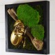 Tableau végétal stabilisé Noir 30x30cm Scarabée Rhino doré sur branche