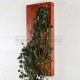 Tableau végétal artificiel 48x19cm sur planches de bois Acajou