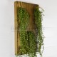 Tableau végétal artificiel 48x29cm sur planches de bois Noyer