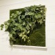 Tableau végétal artificiel 60x60cm Blanc Philodendron & Fittonia