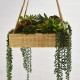 Suspension végétale caisse en bois 35x35cm Succulentes