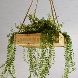 http://www.materiel-mur-vegetal.fr/1581-3801-thickbox/suspension-vegetale-caisse-en-bois-35x35cm-succulentes-fougere.jpg