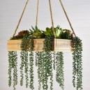 Suspension végétale caisse en bois 45x30cm Succulentes