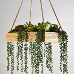 http://www.materiel-mur-vegetal.fr/1582-3805-thickbox/suspension-vegetale-caisse-en-bois-45x30cm-succulentes.jpg