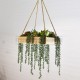 Suspension végétale caisse en bois 45x30cm Succulentes