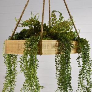 http://www.materiel-mur-vegetal.fr/1583-3809-thickbox/suspension-vegetale-caisse-en-bois-45x30cm-succulentes-fougere.jpg