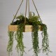 Suspension végétale caisse en bois 45x30cm Succulentes & Fougère