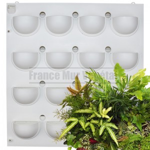 http://www.materiel-mur-vegetal.fr/1593-3847-thickbox/kit-mur-vegetal-interieur-flowall-blanc-42x40cm-16-pots-s-plantes.jpg