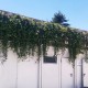 Kit Mur Végétal Extérieur Flowall Blanc 42x40cm 4 pots L & Plantes