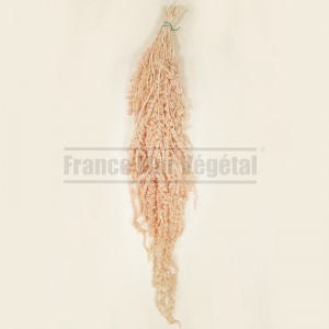 http://www.materiel-mur-vegetal.fr/1616-3903-thickbox/amaranthe-stabilisee-rose-pastel.jpg