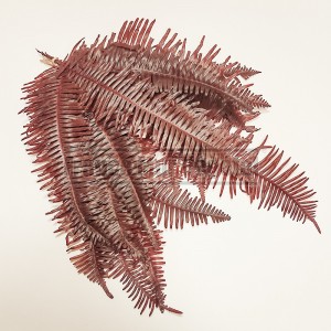 http://www.materiel-mur-vegetal.fr/1626-3922-thickbox/fougere-double-stabilisee-rouge-10-feuilles.jpg