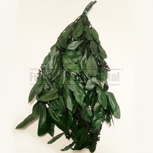 http://www.materiel-mur-vegetal.fr/1627-3923-thickbox/laurier-feuillage-stabilise-vert.jpg