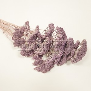 http://www.materiel-mur-vegetal.fr/1635-3934-thickbox/fleurs-stabilisees-achilea-violet-clair.jpg