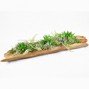 http://www.materiel-mur-vegetal.fr/1659-3996-thickbox/tronc-en-teck-a-poser-avec-vegetaux-plantes-120x20x20cm.jpg