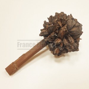 http://www.materiel-mur-vegetal.fr/1666-4018-thickbox/fleur-de-nippa-sechee-sur-tige.jpg