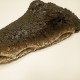 Tête de Crocodile en résine & bois à poser 30x15x8cm