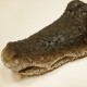 Tête de Crocodile en résine & bois à poser 30x15x8cm